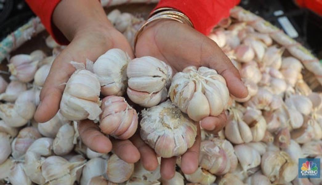 Isu Kartel Bawang Putih, Kementan-Kemendag Dilaporkan ke KPPU