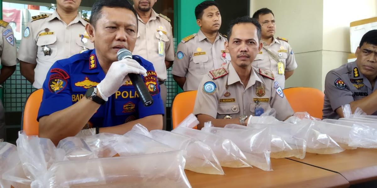 Polisi Gagalkan Penyelundupan Lobster Rp 11,7 M ke Malaysia