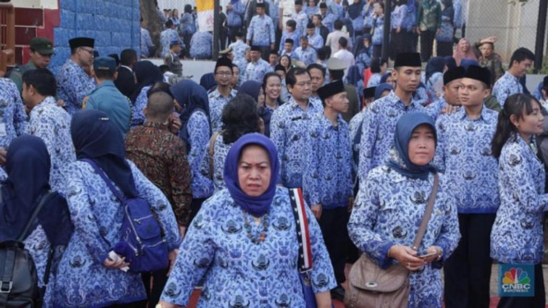 Siap-siap, Penerimaan CPNS 2019 Pusat & Daerah di Depan Mata