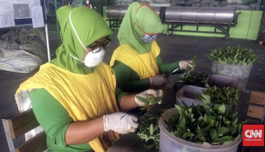 3 Produk Anti Virus Covid-19 RI Belum Dapat Hak Paten