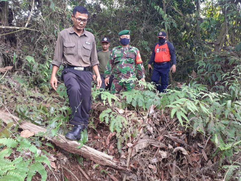 Antisipasi Karhutla, Babinsa Koramil 05/ Kampar Kiri Lakukan Patroli