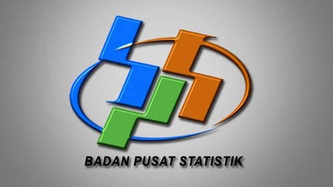 Catatan BPS Penyerapan Tenaga Kerja di Riau Didominasi Tamatan SD