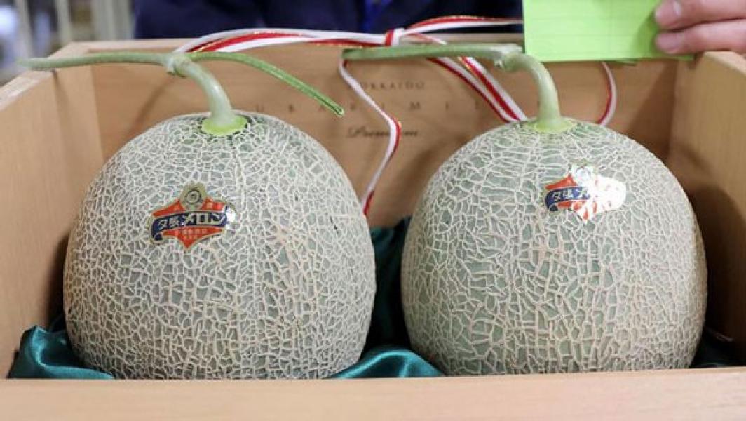 Gara-gara Corona, Melon Jepang Tak Lagi Jadi Buah Termahal
