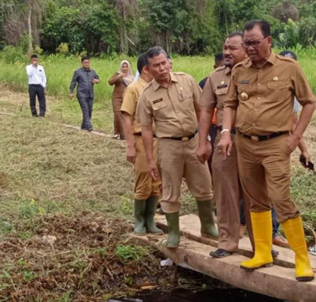 Gelontorkan Dana 7 Miliar, Pemkab Rohil Bangun Hutan Kota di Pusat Ibukota