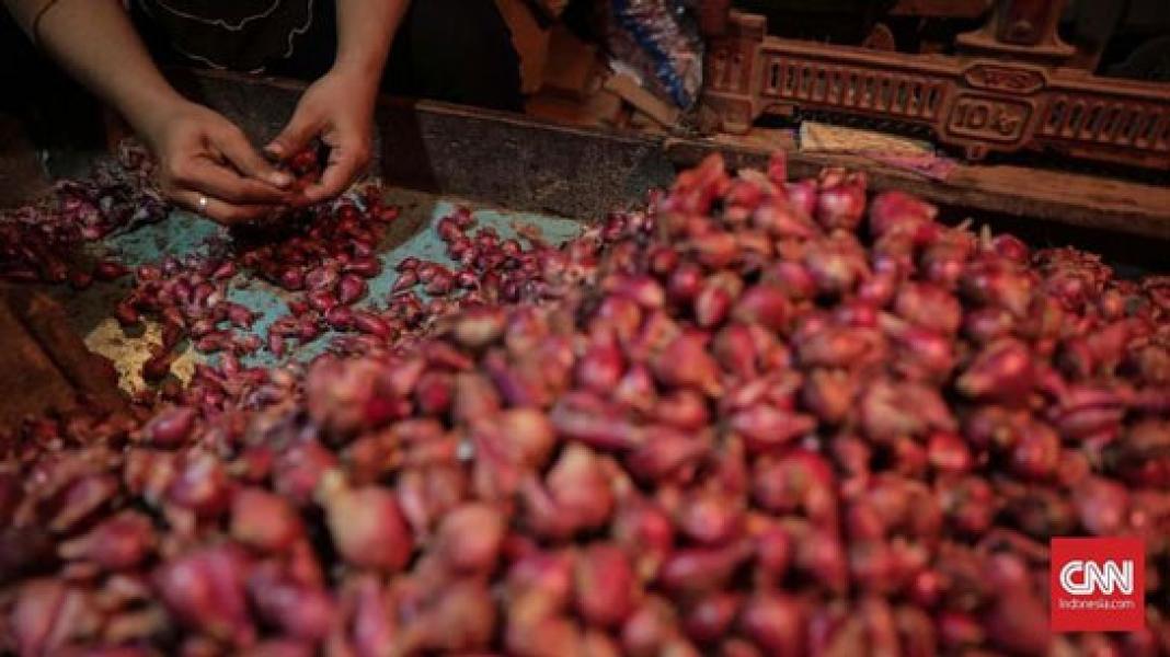 Kementan Sita 36 Ton Bawang Merah Impor Ilegal