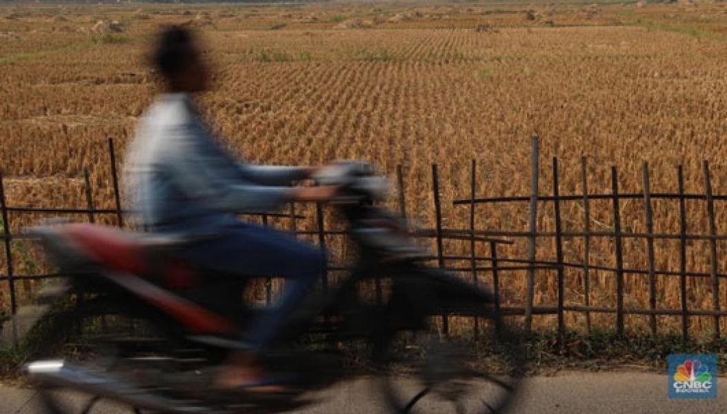 Ngeri Krisis Pangan, RI Tambah 1,8 Juta Ha Lahan Pertanian