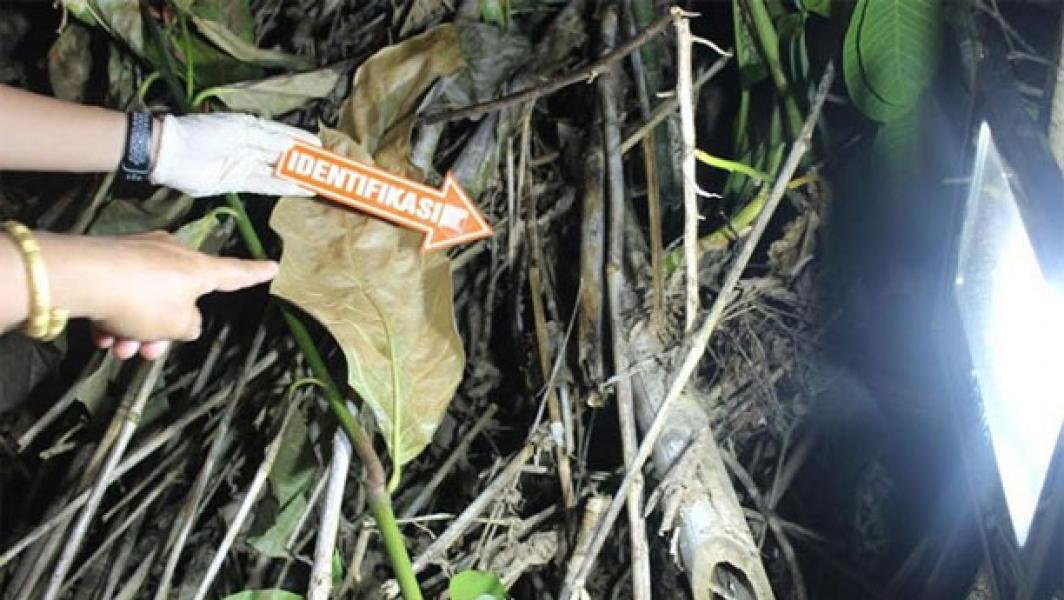 Sadis, Bidan Sumpal Mulut Bayinya yang Baru Lahir dengan Pembalut hingga Tewas