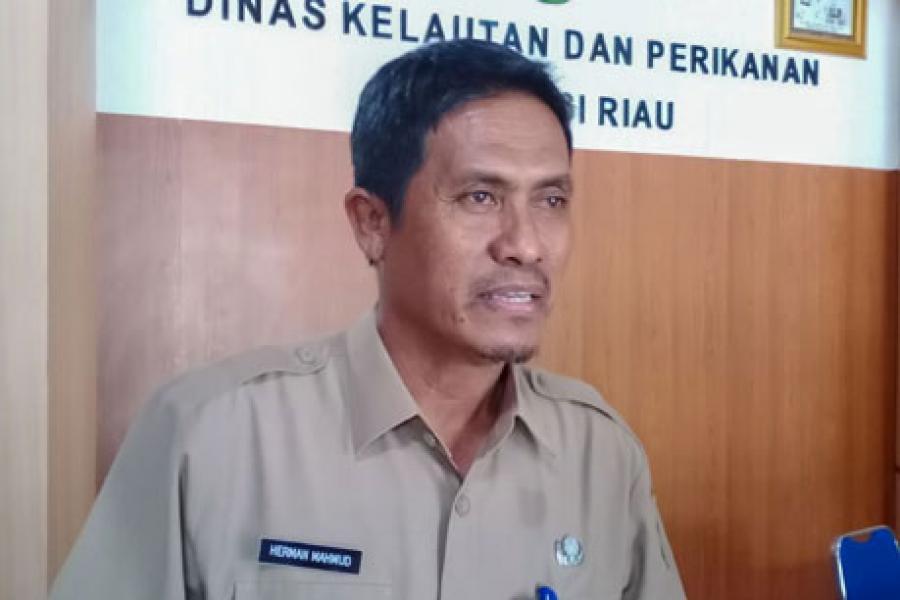 Tanam Ubi Kayu dan Jagung, Pemprov Riau Akan Lakukan Gertam Penyediaan Pangan 