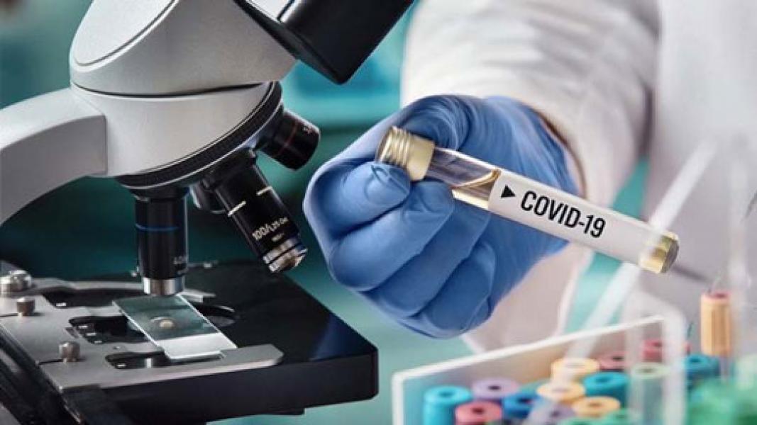 Tembus 1.000 Kematian akibat Covid-19 di Indonesia, Ini Dampak Virus pada Organ Tubuh
