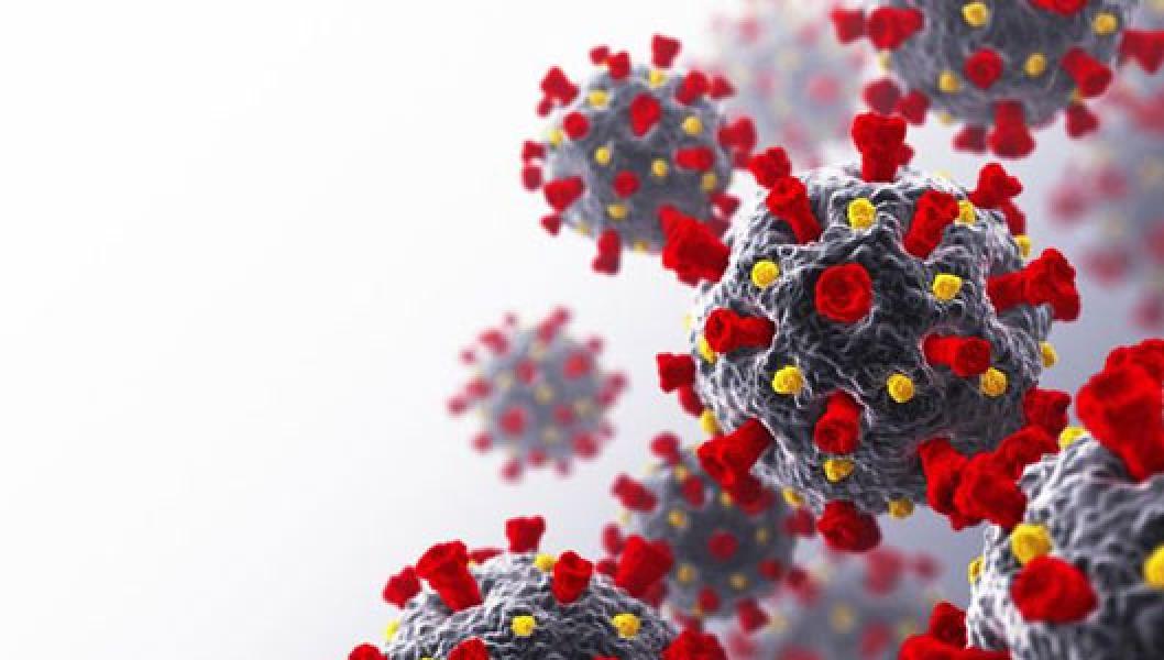 Virus Corona dari Kelelawar di Lab Wuhan Beda dengan Covid-19