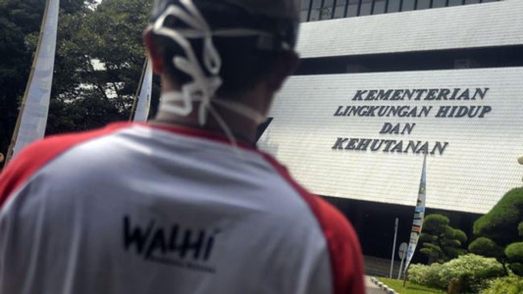 Walhi Kalteng: Lokasi Lahan Persawahan Jokowi Adalah Kawasan Konservasi