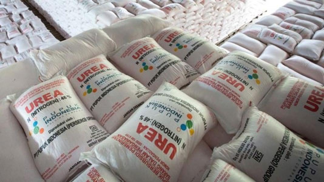 Waspada! Pupuk Impor China Serbu Pasar RI