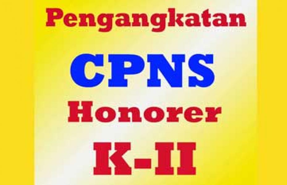 249 Honorer K2 Lolos CPNS, 6 Tak Masukan Berkas