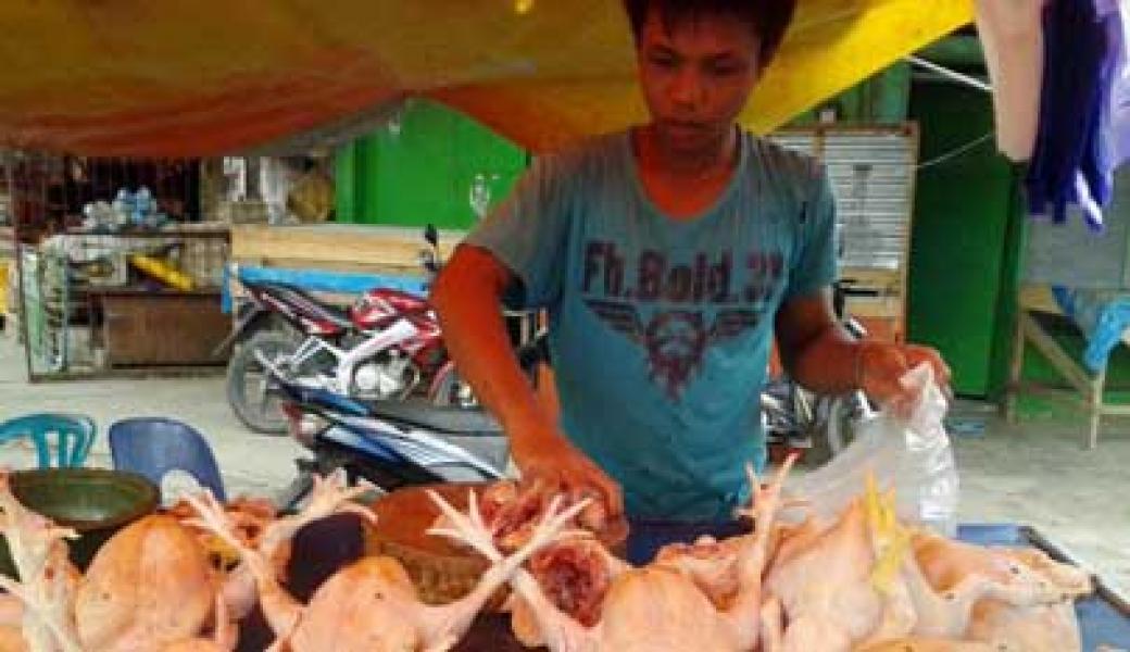 Ayam Potong dan Sayur-mayur Alami kenaikan