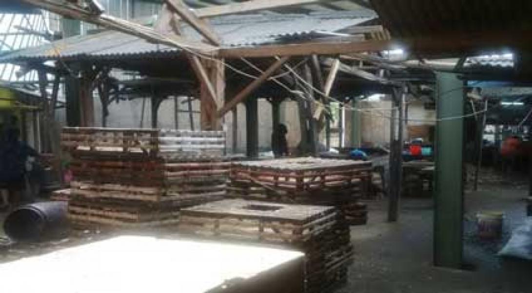 Harga Ayam Melambung, 40 Persen Pedagang Gulung Tikar