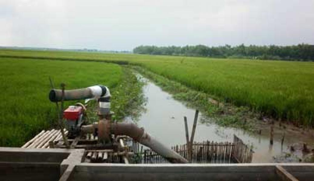 Irigasi Sawah: Petani Bungaraya Merindukan Pompanisasi