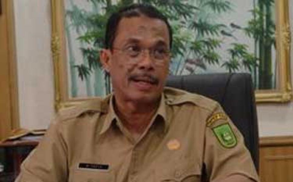 M Yafiz: SOTK Baru Sebaiknya Efektif 2015 Mendatang