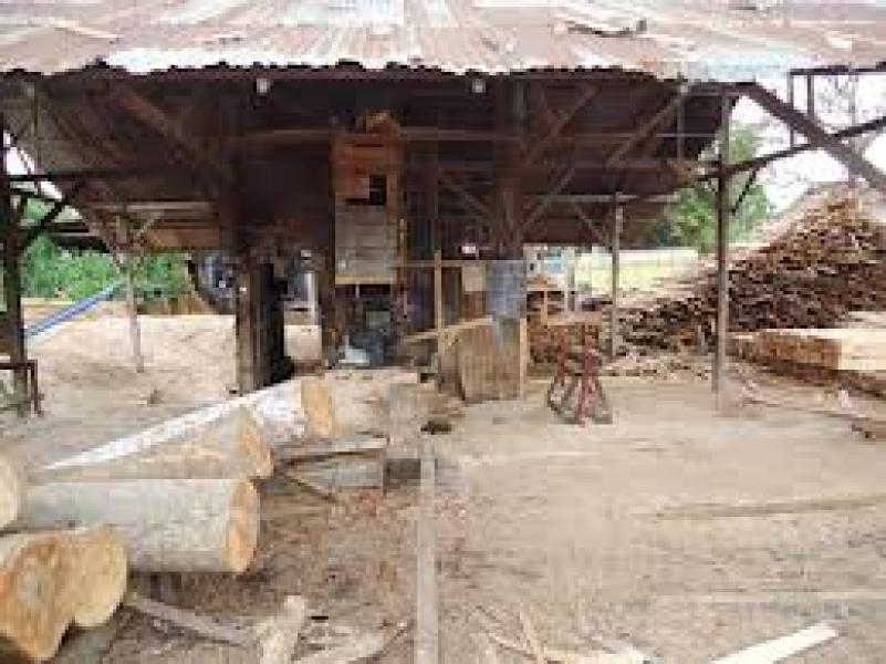 Polisi Gerebek Sawnmill Ilegal di Jalan Manunggal