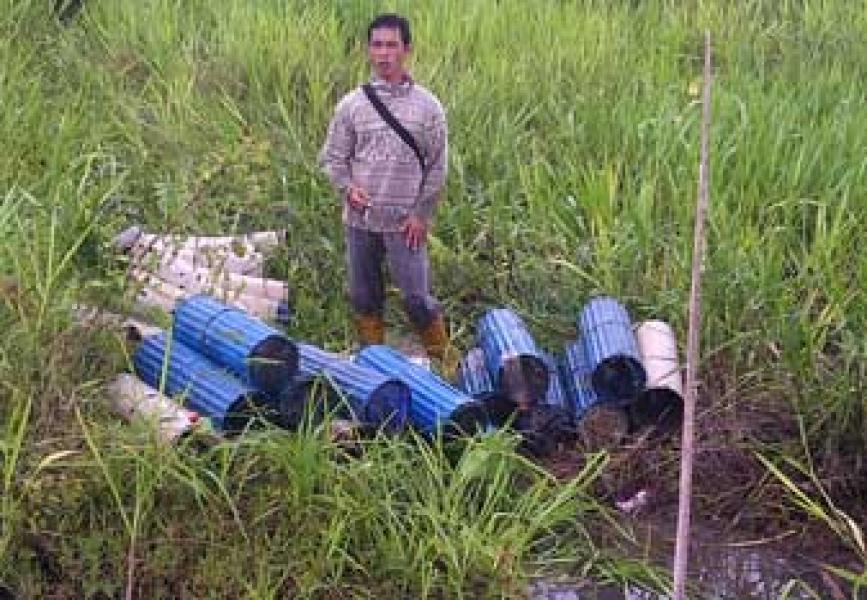 Potensi Perikanan Tangkap Belut di Desa Tambun Menjanjikan