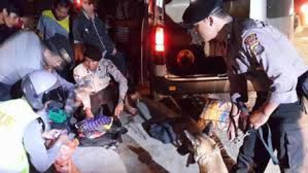 Razia Cipta Kondisi, Polda Turunkan Anjing Pelacak