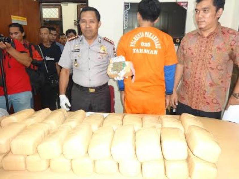 Satres Narkoba Polresta Pekanbaru Tangkap Bandar 40 Kg Ganja Asal Aceh