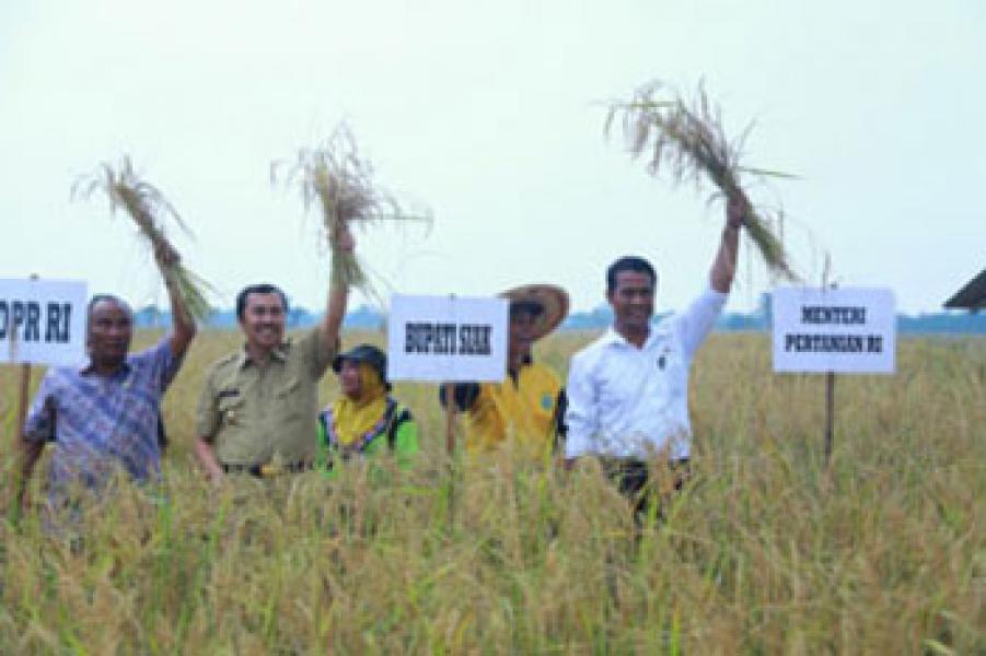 Badan Ketahanan Pangan Siak Sebut Stok Pangan Selama Ramadhan Aman