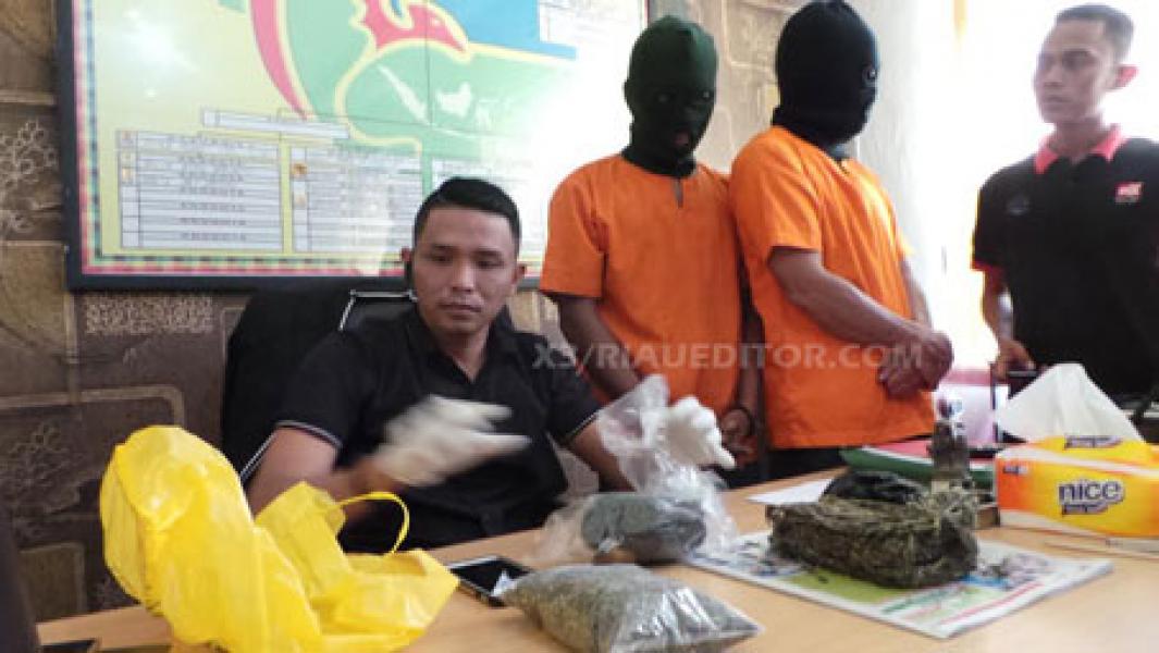 Dua Pengedar Ganja di Kalangan Mahasiswa Ditangkap Polisi