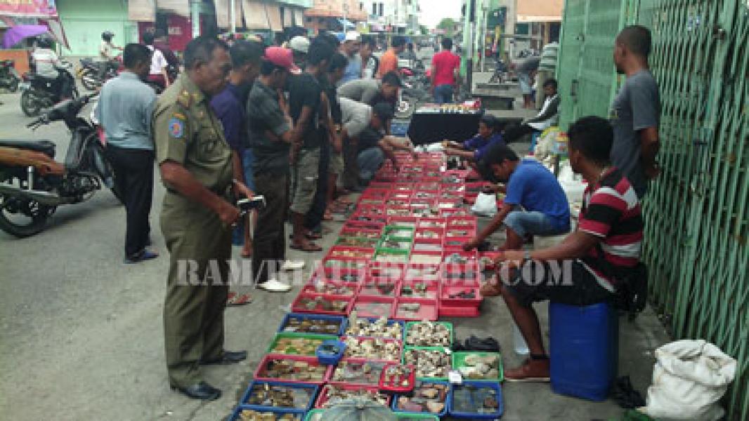 Efek Gemstone Fair Pulau Jemur 2015 Terus Mewarnai Bagansiapiapi