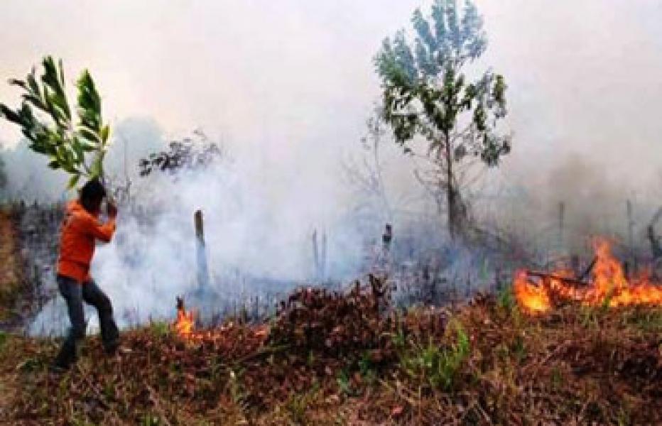 Hari Ini, Hotspot Terbanyak di Riau ada di Pelalawan