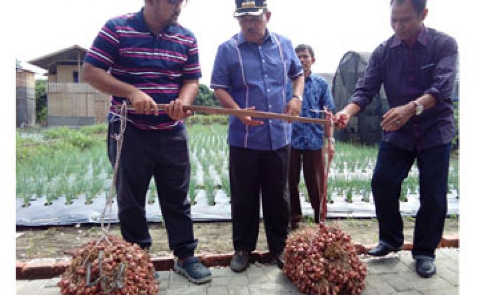 Ini Cara Pengembangan Bawang Merah Dalam Program RTMPE Berikut Keuntungannya
