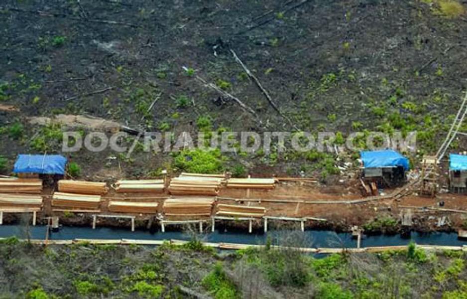 Tiga Perambah Hutan Cagar Biosfer Giam Siak Kecil Ditangkap, Satu di Dor