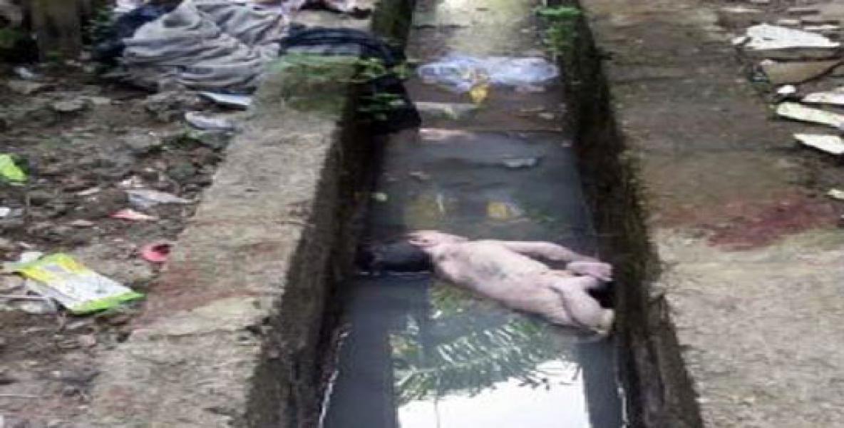 Warga Siberida Digegerkan Dengan Ditemukannya Jasad Bayi di Dalam Got