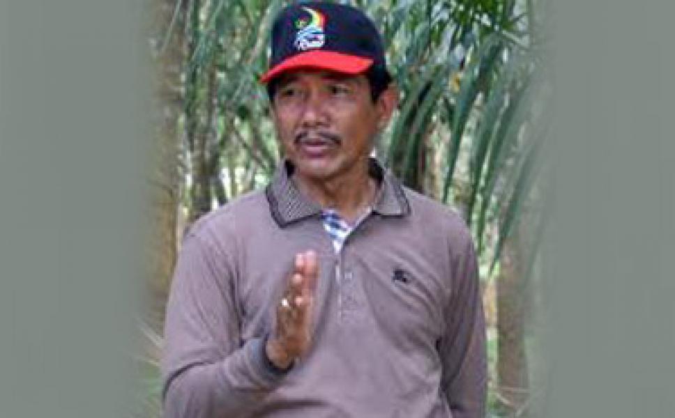 Disbun Rohil Subsidi Bibit Sawit, Kelapa dan Karet