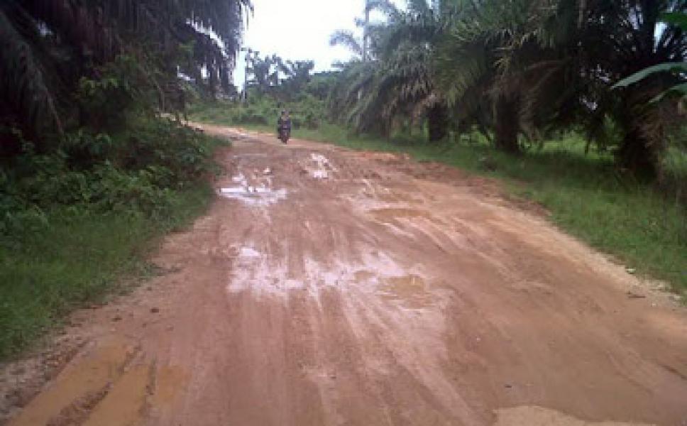 Jalan Utama Menuju Lokasi Iven Pacu Jalur di Desa Danau Baru Rusak Berlumpur