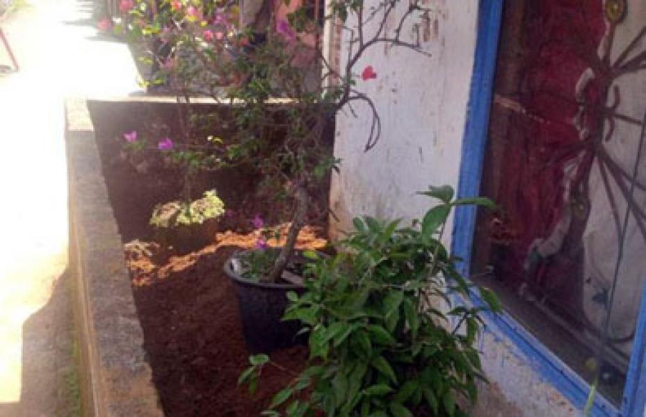 Pria di Lubuklingau Pindahkan Makam Istri dari TPU ke Depan Rumah