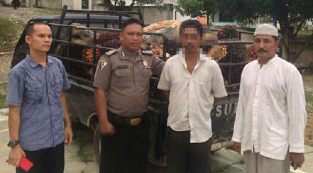 Seorang Ninja Sawit Diamankan Warga, Tiga DPO