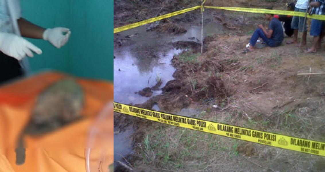 Temuan Tengkorak Wanita di Desa Air Jernih, Polsek Rengat Barat Cari Organ Lain