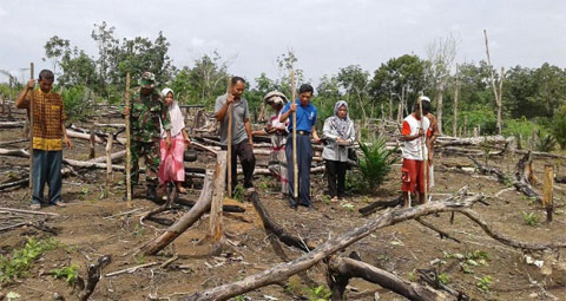 Babinsa Koramil 02 Rambah Dampingi Petani Tanam Kedele Seluas 15 Hektar