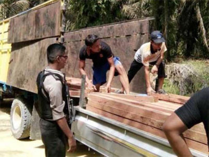 Dua Pelaku Ilog Kayu Kulim Ditangkap Polsek Singingi Hilir