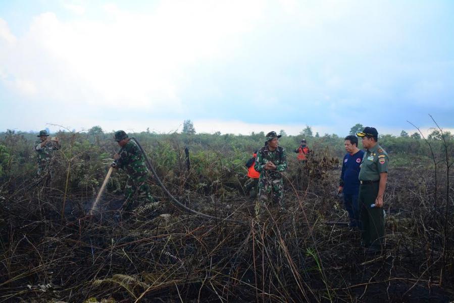 Tinjau Karhutla, Danren 031/Wirabima Instruksikan Lahan Terbakar Agar Di Policeline