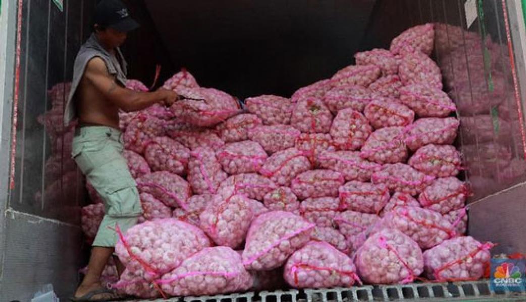 256 Ribu Ton Bawang Putih Impor Siap Masuk Indonesia