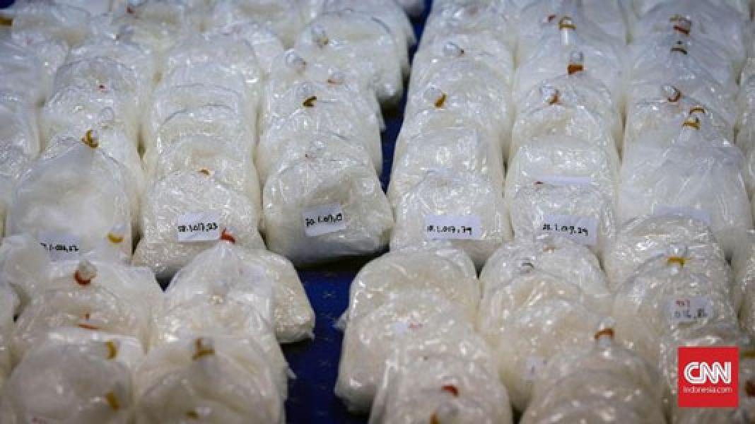 Polisi Ungkap Jaringan Internasional Pengedar 63 Kg Sabu