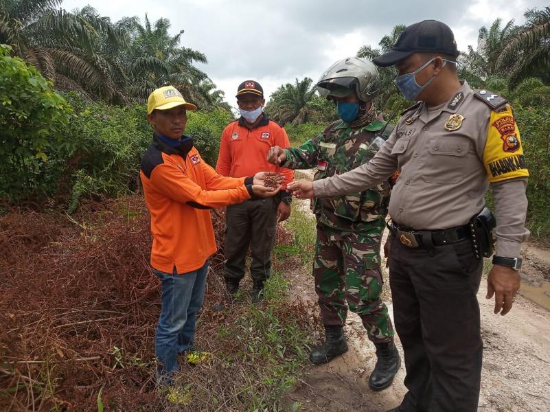 Babinsa Koramil 05/Kampar Kiri Bersama Tim Patroli Terpadu Karhutla Melaksanakan Patroli Dan Sosialisasi