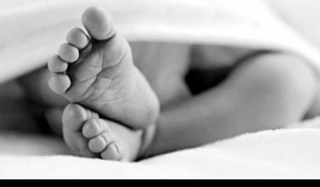Bayi 9 Bulan di Inhil Meninggal Karena Corona