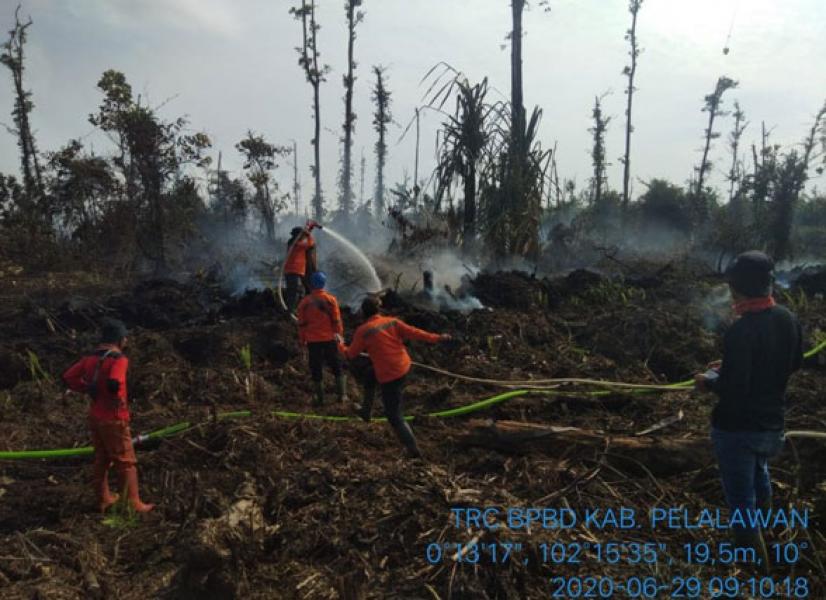Gakkum Investigasi Penyebab Karhutla di Pelalawan
