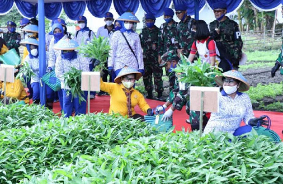 Ketum Dharma Pertiwi Hadiri Panen Raya di Mako Puspomal