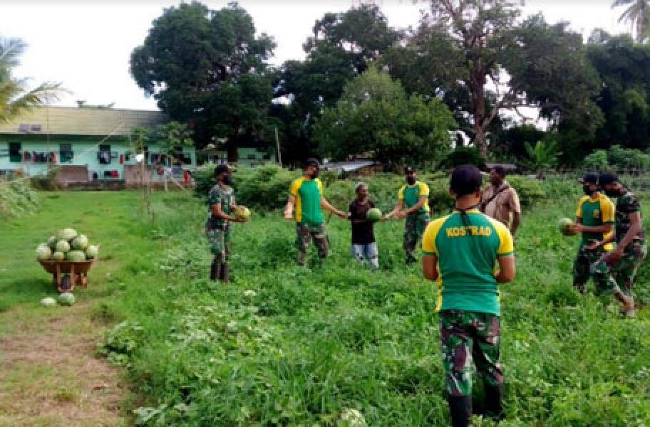 Personel Satgas Yonif 411 Kostrad Panen Semangka Bersama Warga Perbatasan Sota