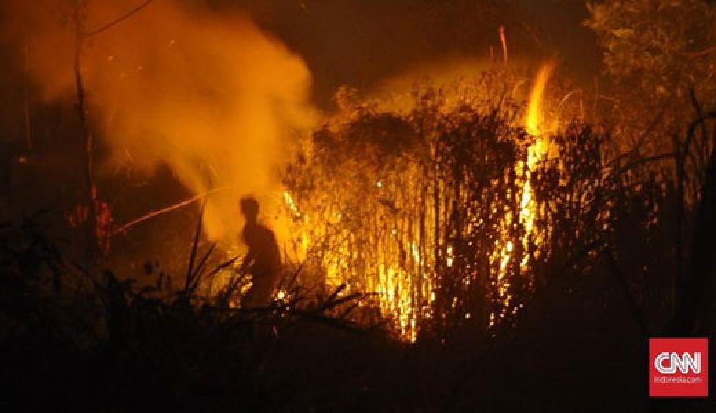 Polisi Tetapkan 69 Tersangka Kasus Karhutla Sepanjang 2020