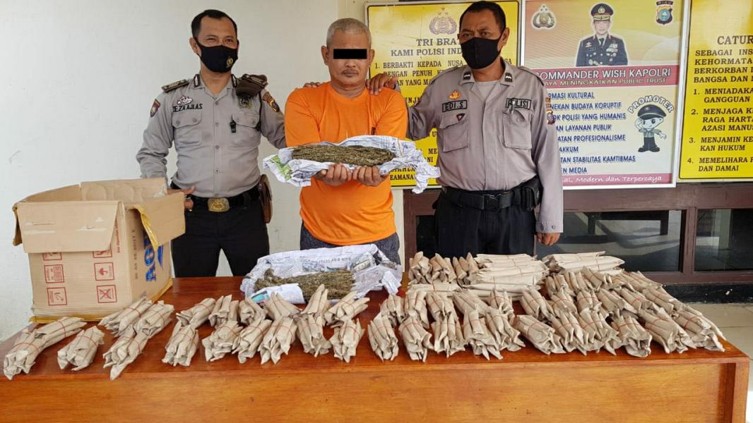 Pria Paruh Baya Pengedar Ganja di Rohul Dibekuk di Rumahnya 