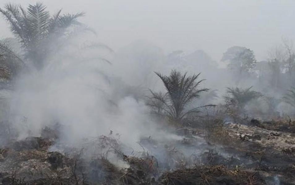 Sebanyak 20 Hotspot Terpantau di Riau